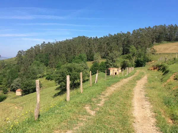 Finca rústica en Avenida Alisas, 5 - Foto 4