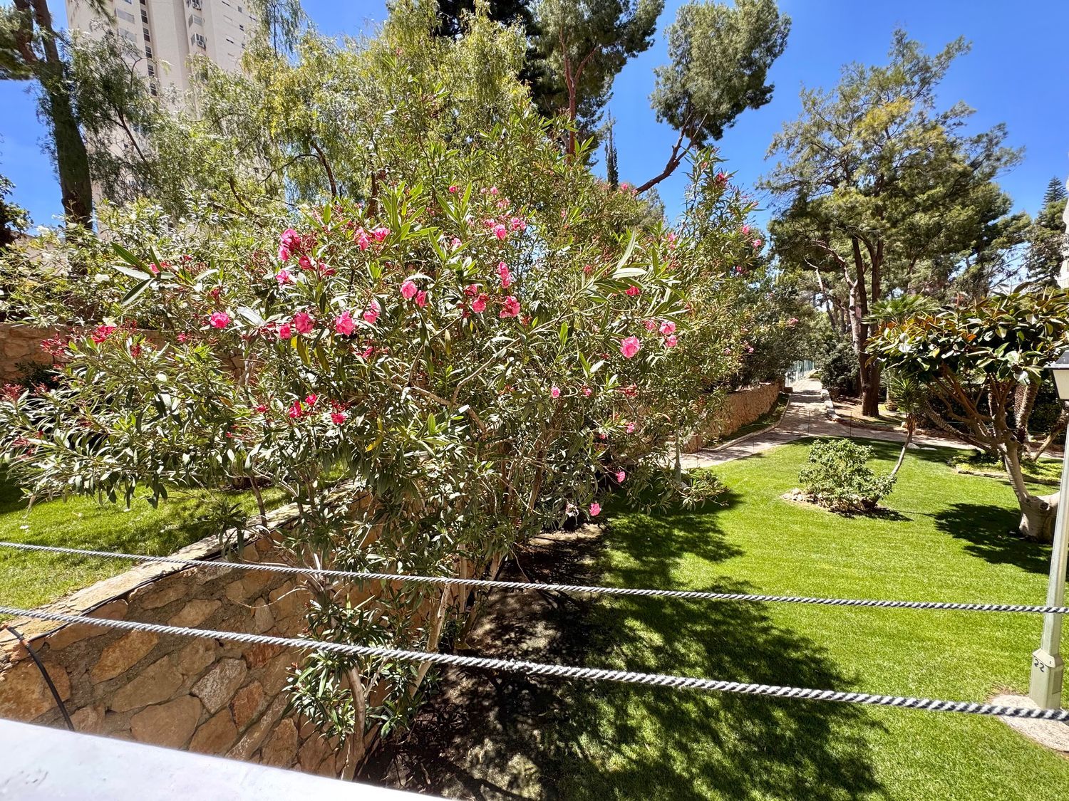 Piso en Avenida de Montecarlo, 14, Zona Sierra Helada - Foto 28