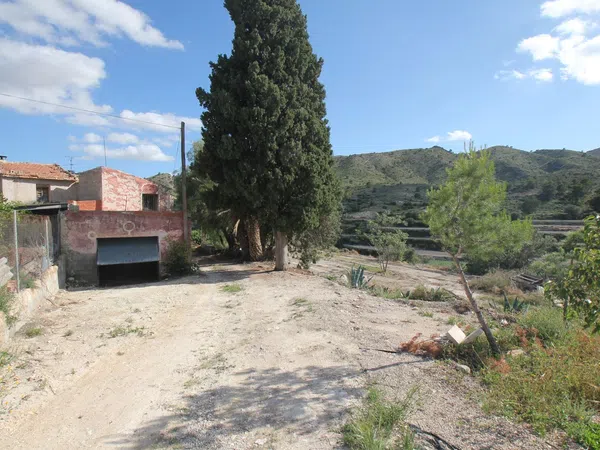 Finca rústica en Montnegre s/n - Foto 19