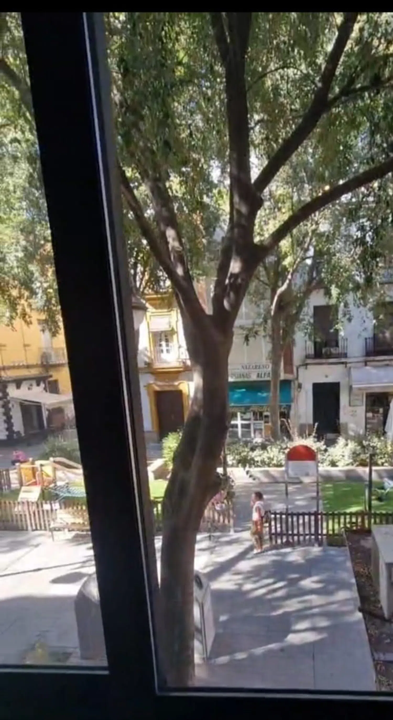 Piso en plaza de la Alfalfa, 9 - Foto 12