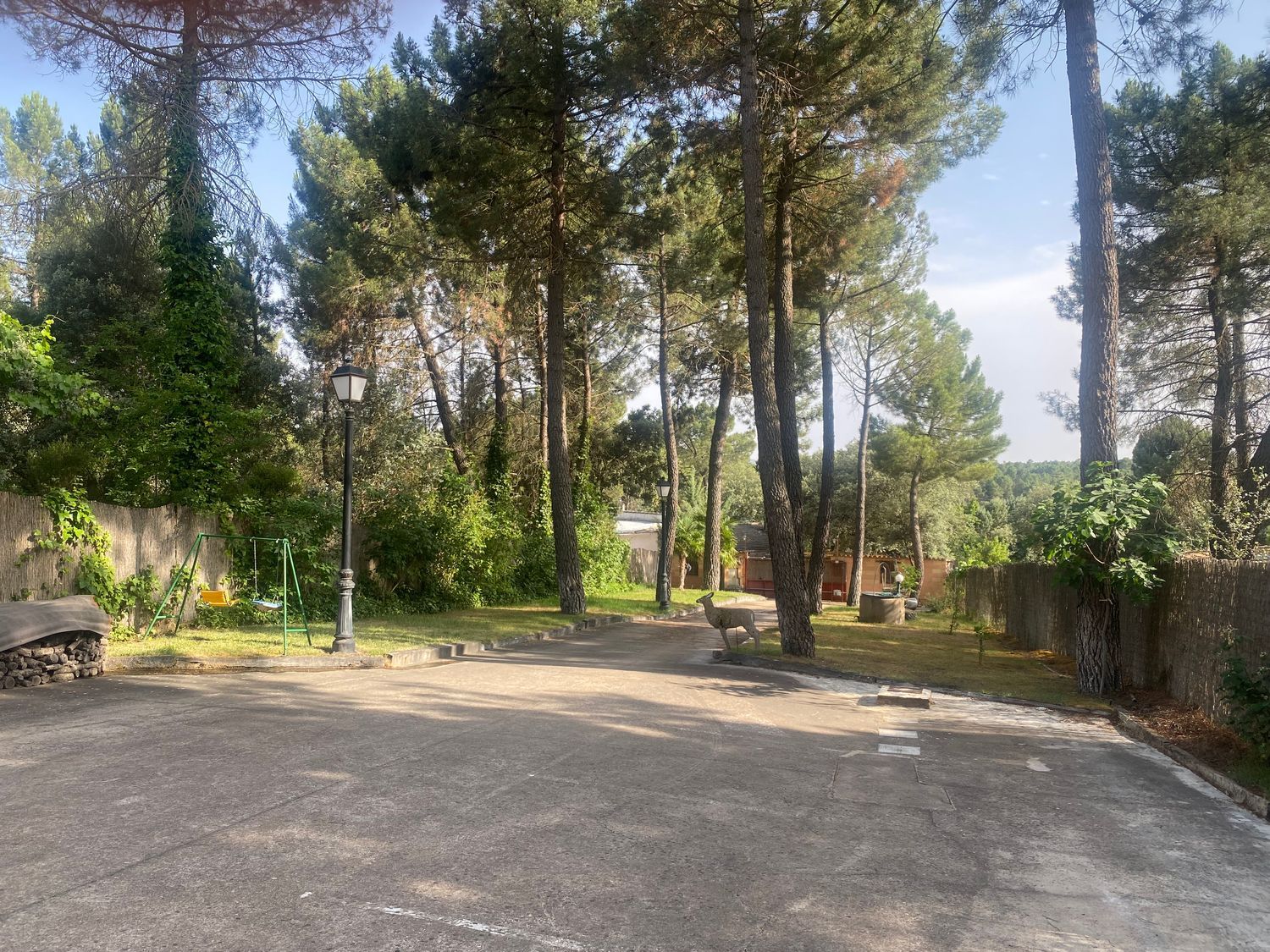 Masía en Pinar De Jabaga, 1 ,2 - Foto 7