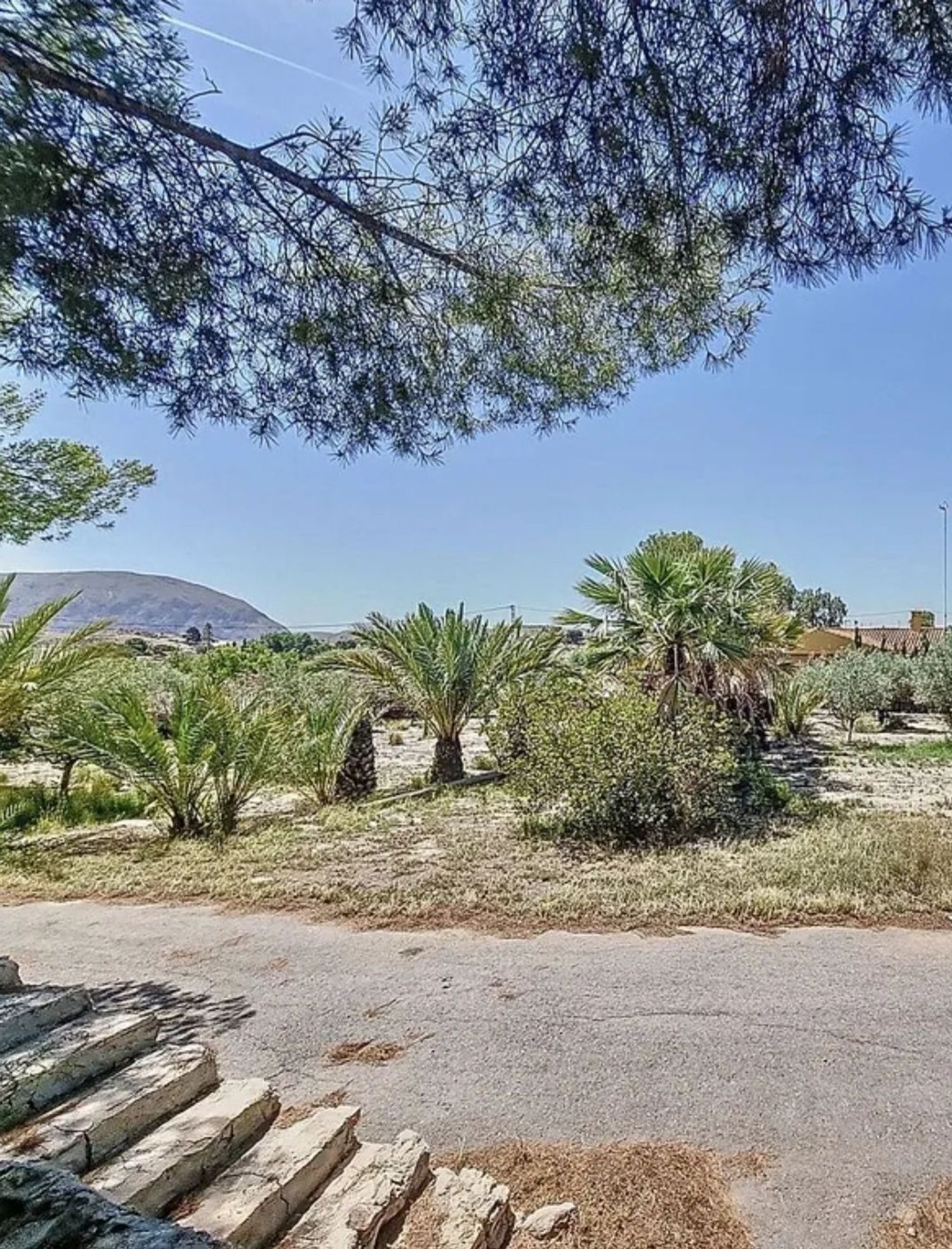 Casa rural en Cv-824, 270 - Foto 23