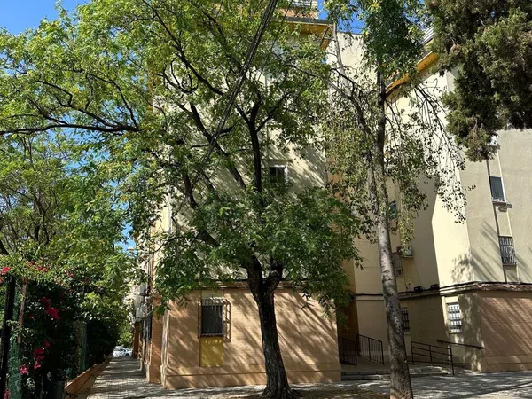 Piso en Jardines de Felipe II, 43, Tiro de Línea - Foto 14