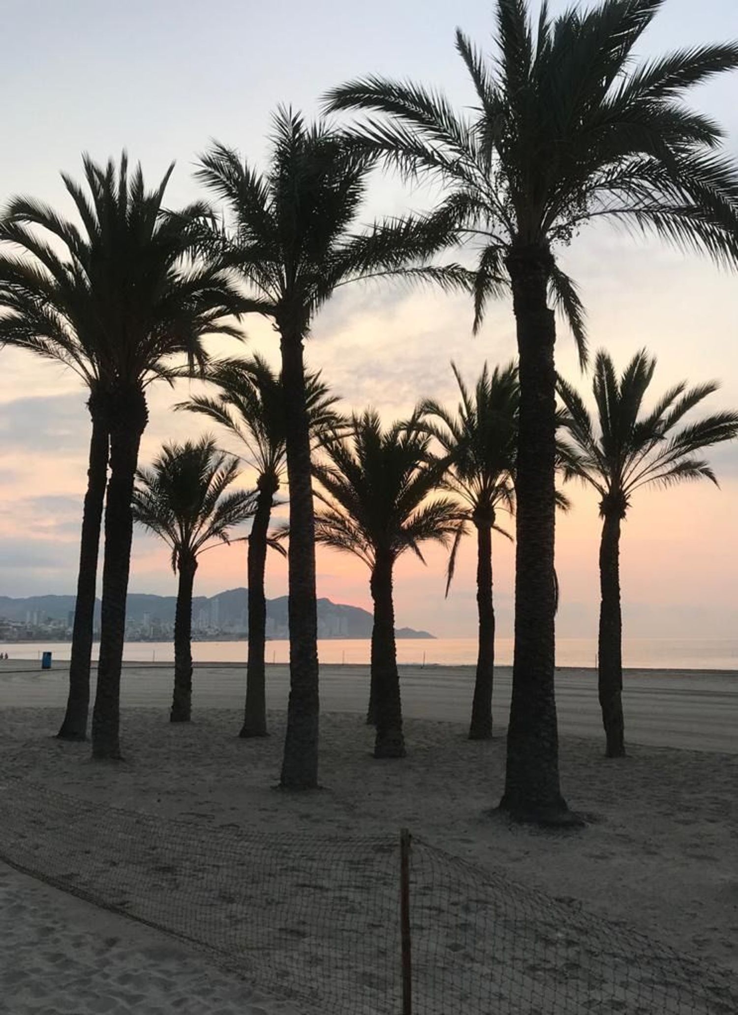 Estudio en calle L'Alfas del Pi, 8 - Foto 29