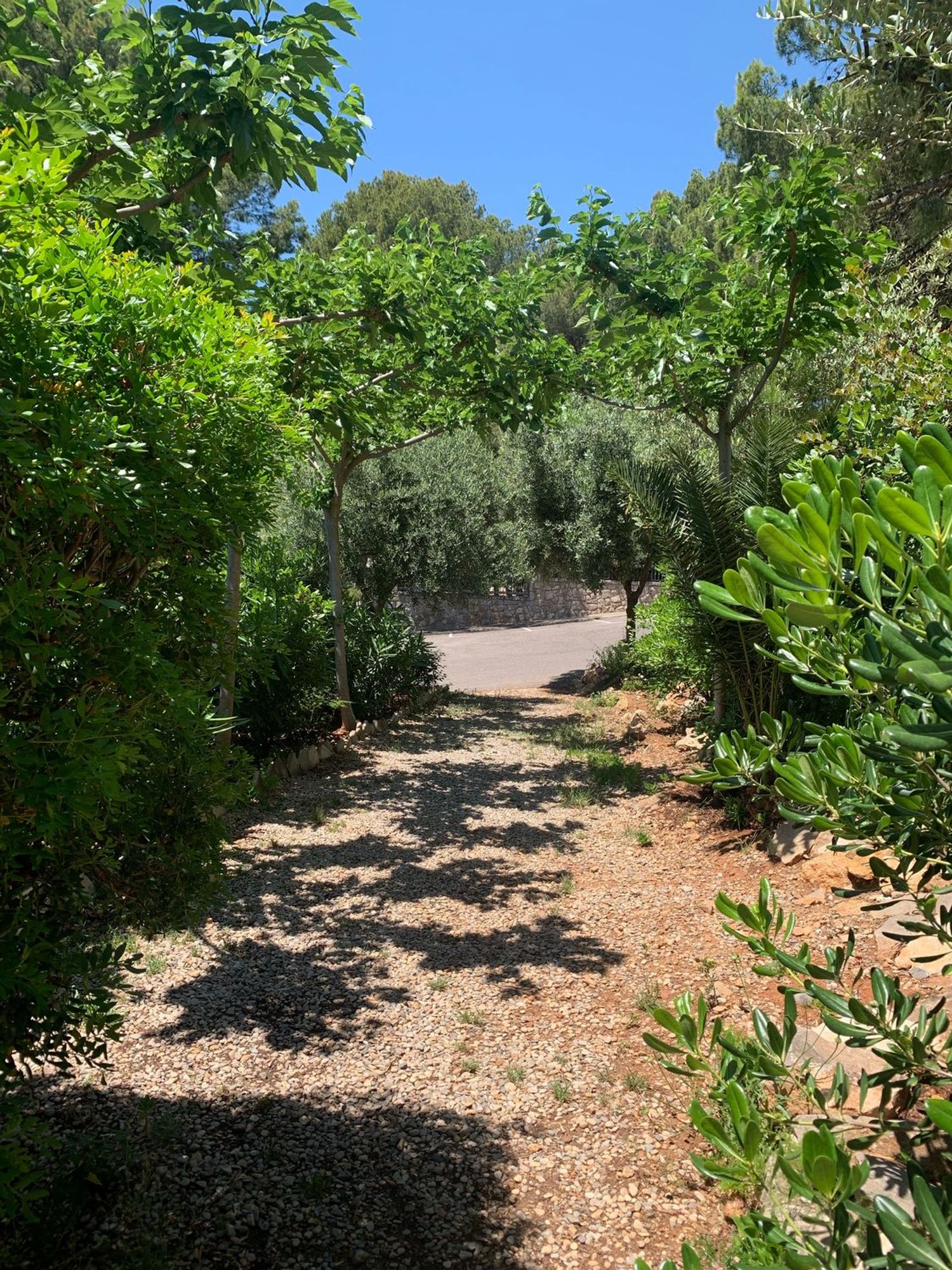 Chalet adosado en Plaza Pobla Montornes, 2, Montornes - Las Palmas - El Refugio, Montornes - Las Palmas - El Refugio - Foto 24