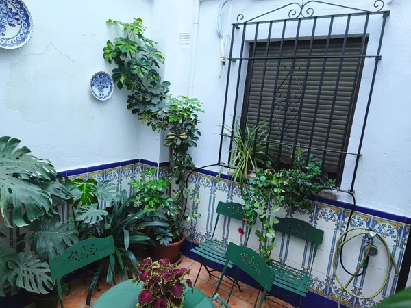 Piso en Calle Hermanos López Diéguez, 12 - Foto 11