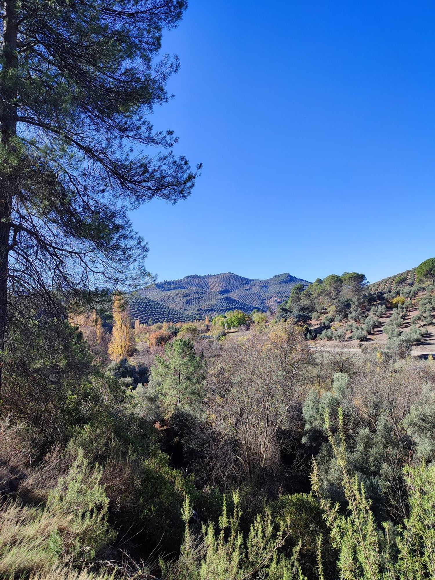 Cortijo en Carretera a Cortijos Nuevos s/n - Foto 3