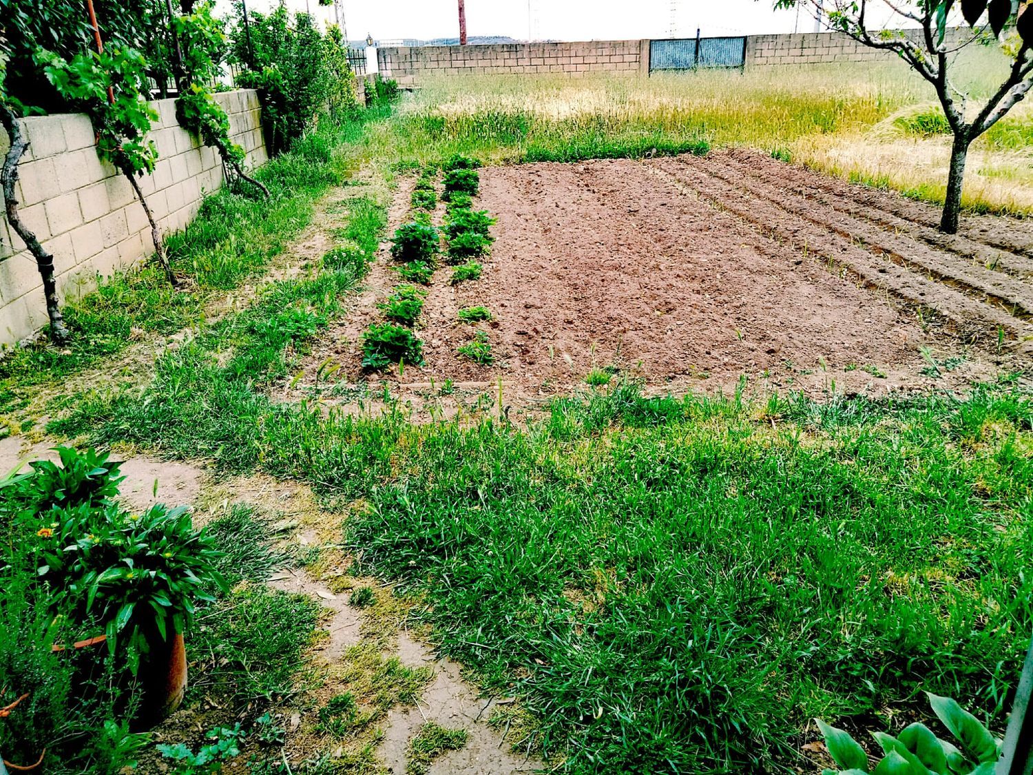Casa o chalet independiente en Calle Bandonilla, 36, La Vega - Oteruelo, La Vega - Oteruelo - Foto 21