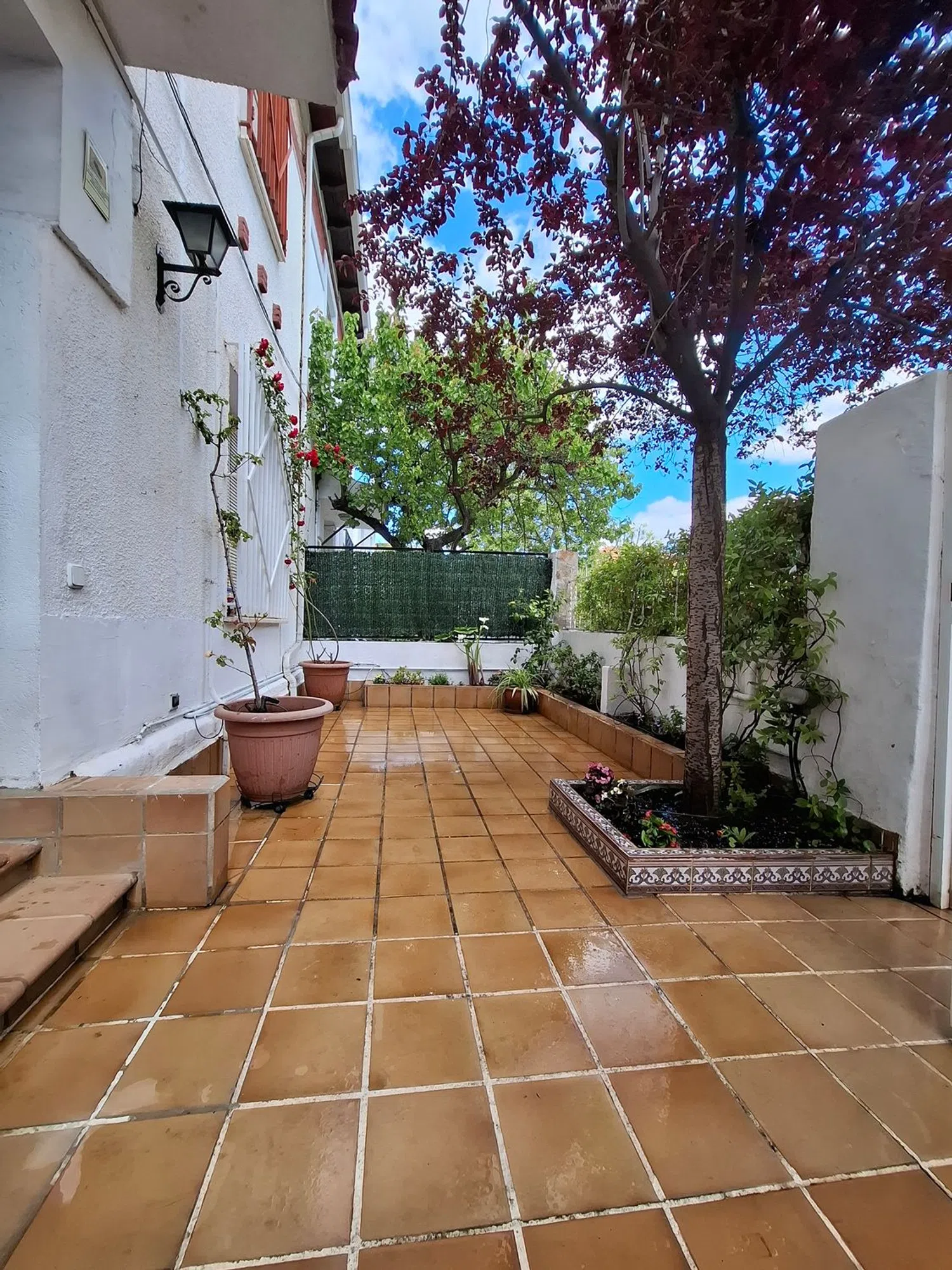Chalet pareado en Barrio Ciudad Jardín - Foto 1