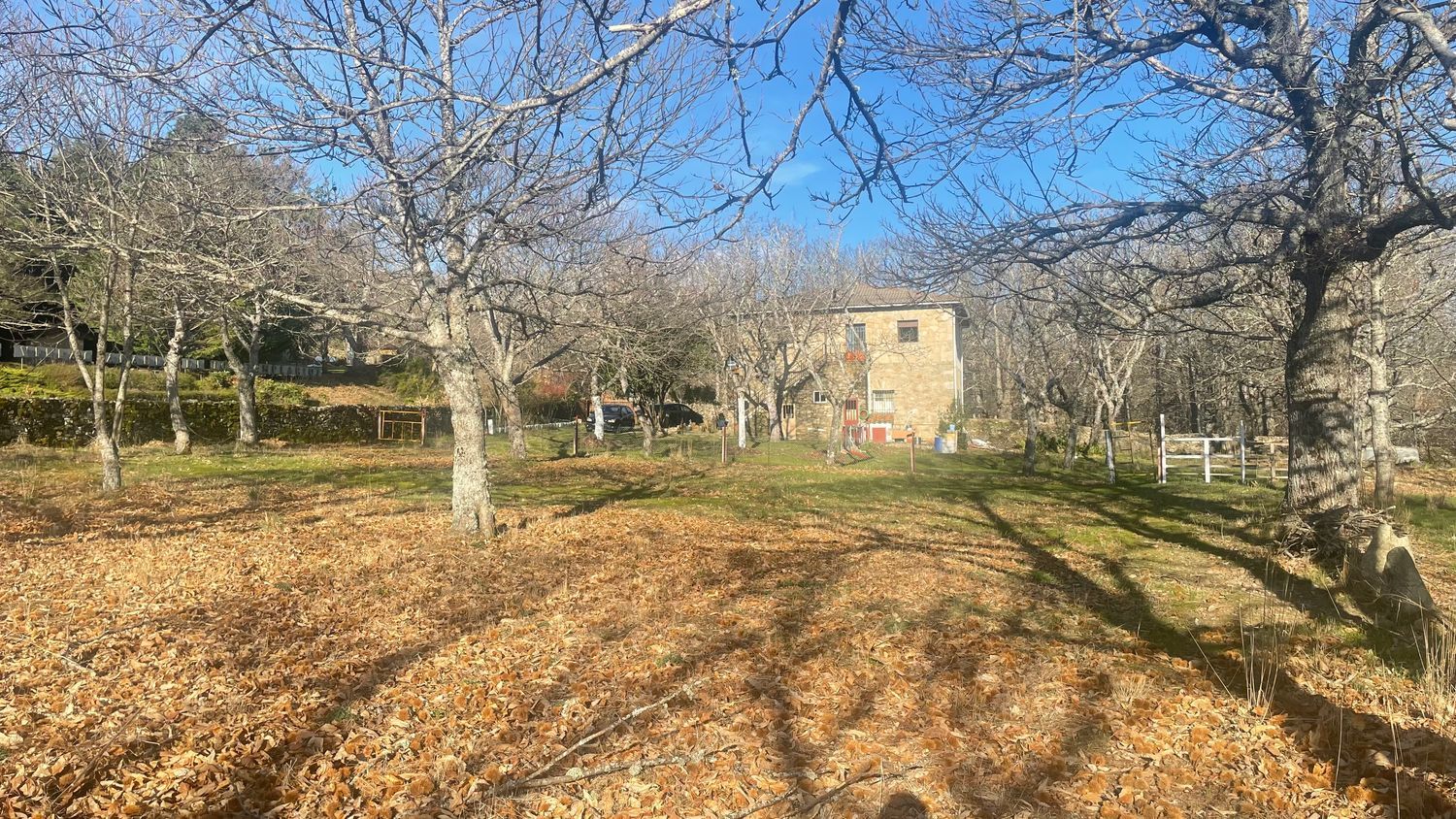 Casa o chalet independiente en Calle S.a.u-1, 3 - Foto 38