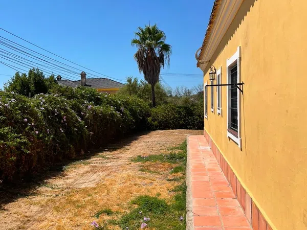 Casa o chalet independiente en Calle Cuatro Pinos, 11, Cuatro Pinos-El Carmen - Foto 16