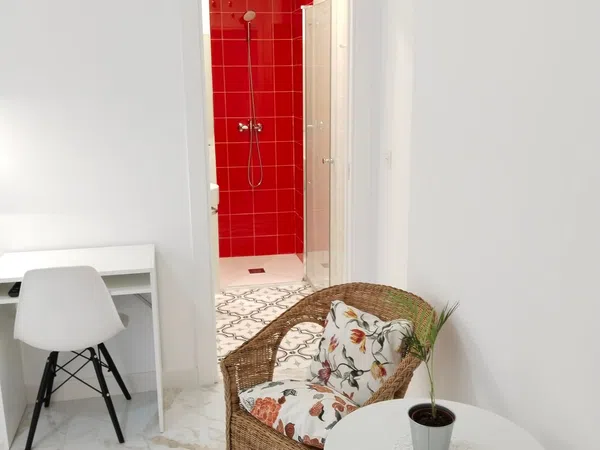 Estudio en Calle Misericordia, 12, Jardín Botánico - Foto 17