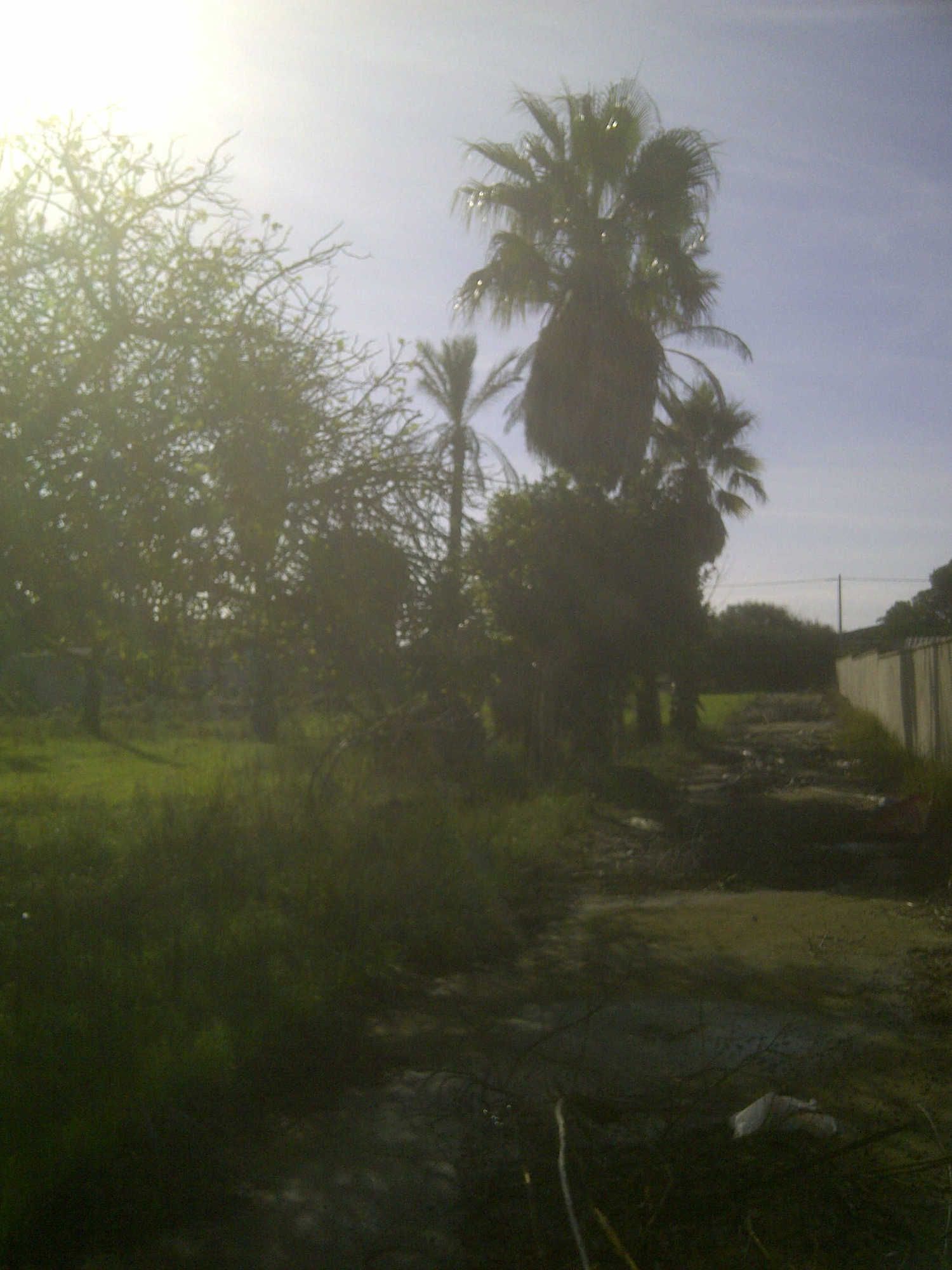 Casa independiente en calle Ceuta s/n - Foto 7