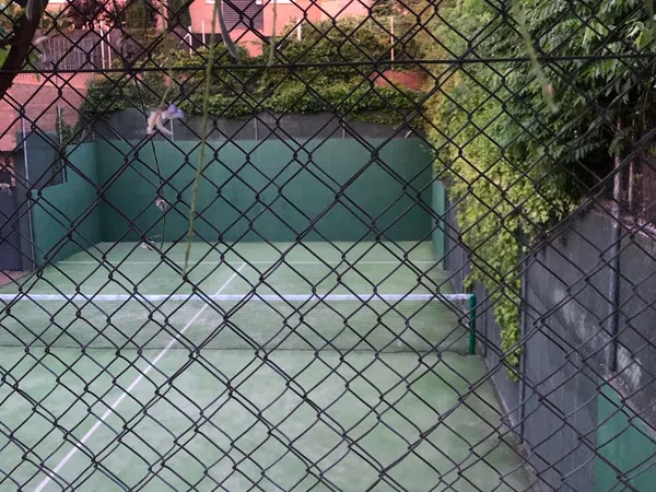 Chalet pareado en Avenida Bellas Artes, 6, Zona norte - Foto 6