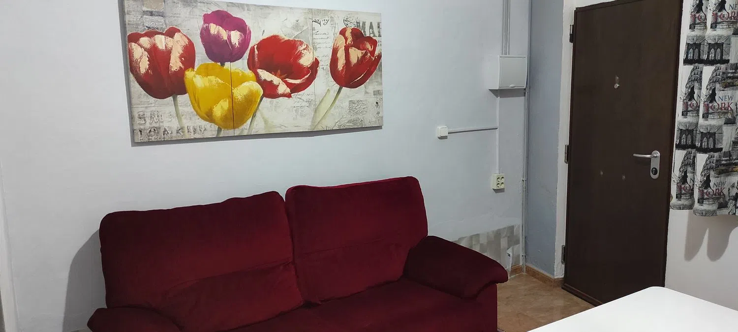 Estudio en avenida la Cruz Roja, 40 - Foto 2