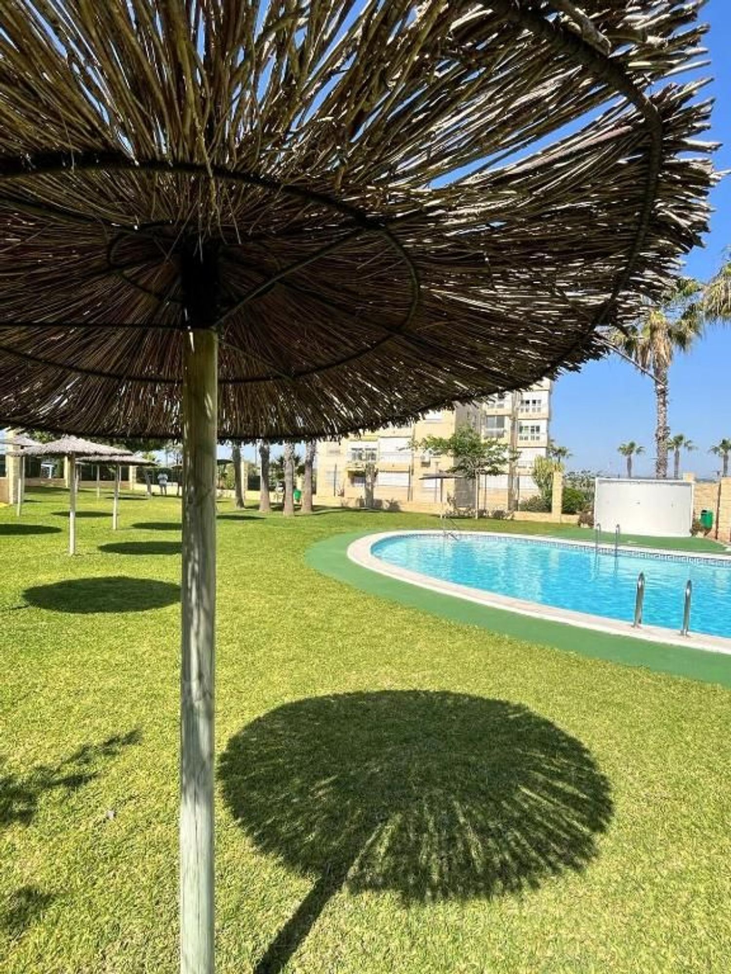 Piso en Agustín Bertomeu, 4, El Palmeral-Urbanova-Tabarca - Foto 18