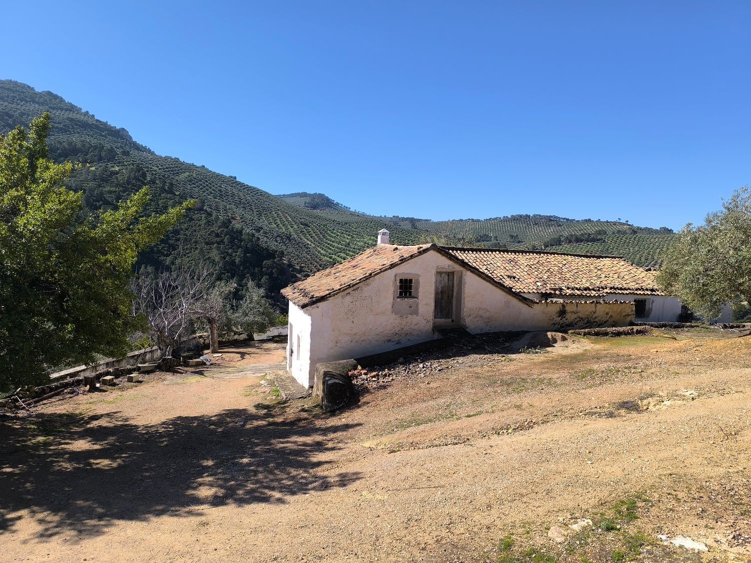 Cortijo en Via Sin Nombre s/n - Foto 6