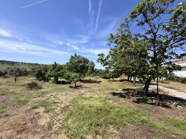 Finca rústica en  Urbanización las Encinas 12A - Foto 14