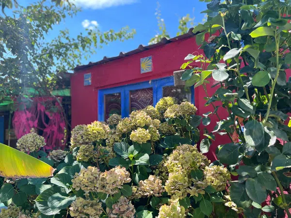 Casa rural en Calle real, 1 - Foto 31