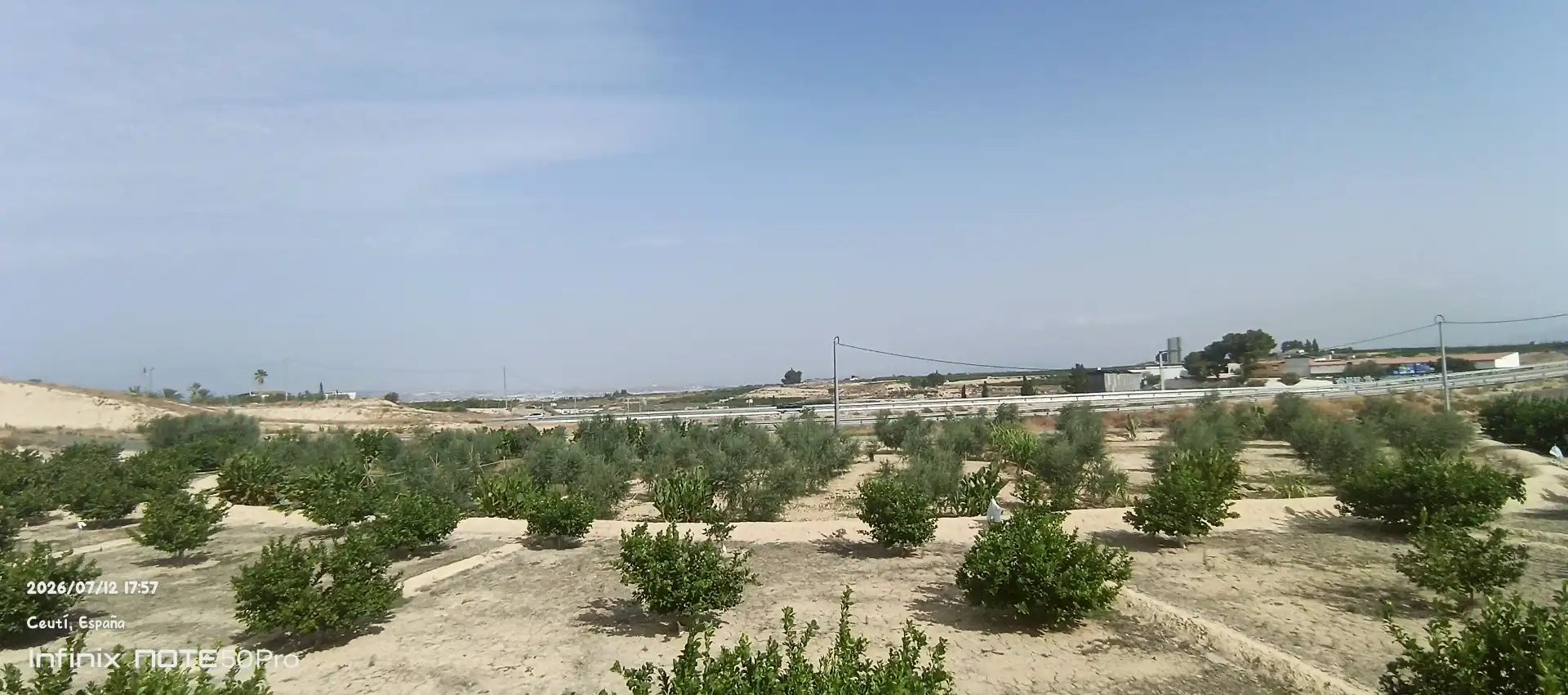 Finca rústica en  Autovía de Murcia 582 - Foto 9