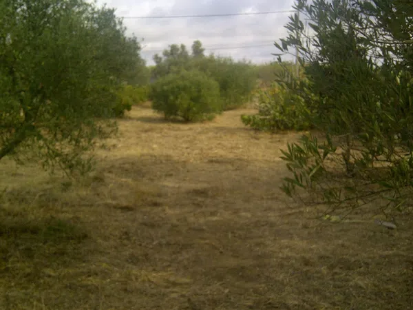 Casa independiente en camino de Melilla s/n - Foto 6