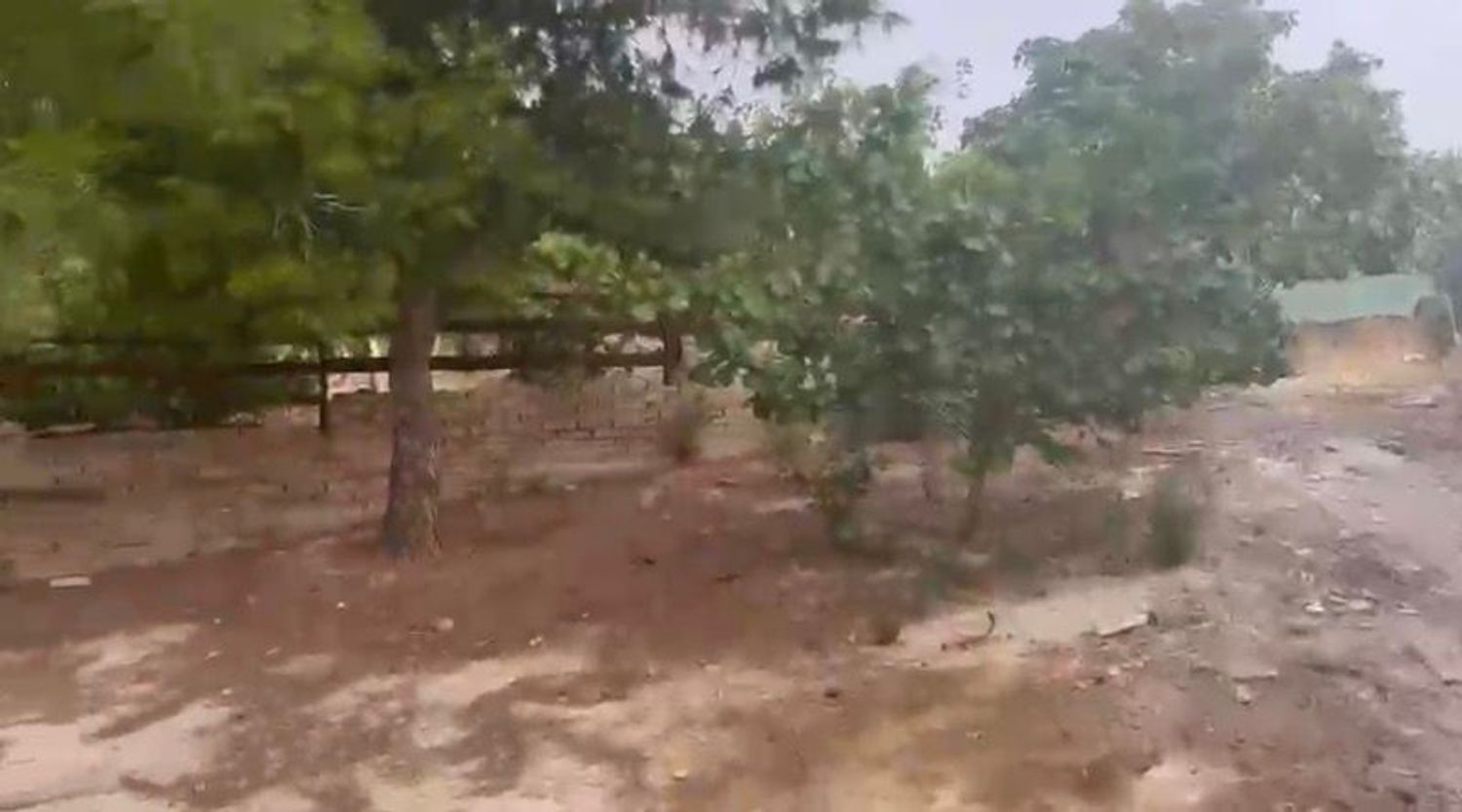 Finca rústica en Carril los González y los Pérez, 40, Cañadas de San Pedro - Foto 35
