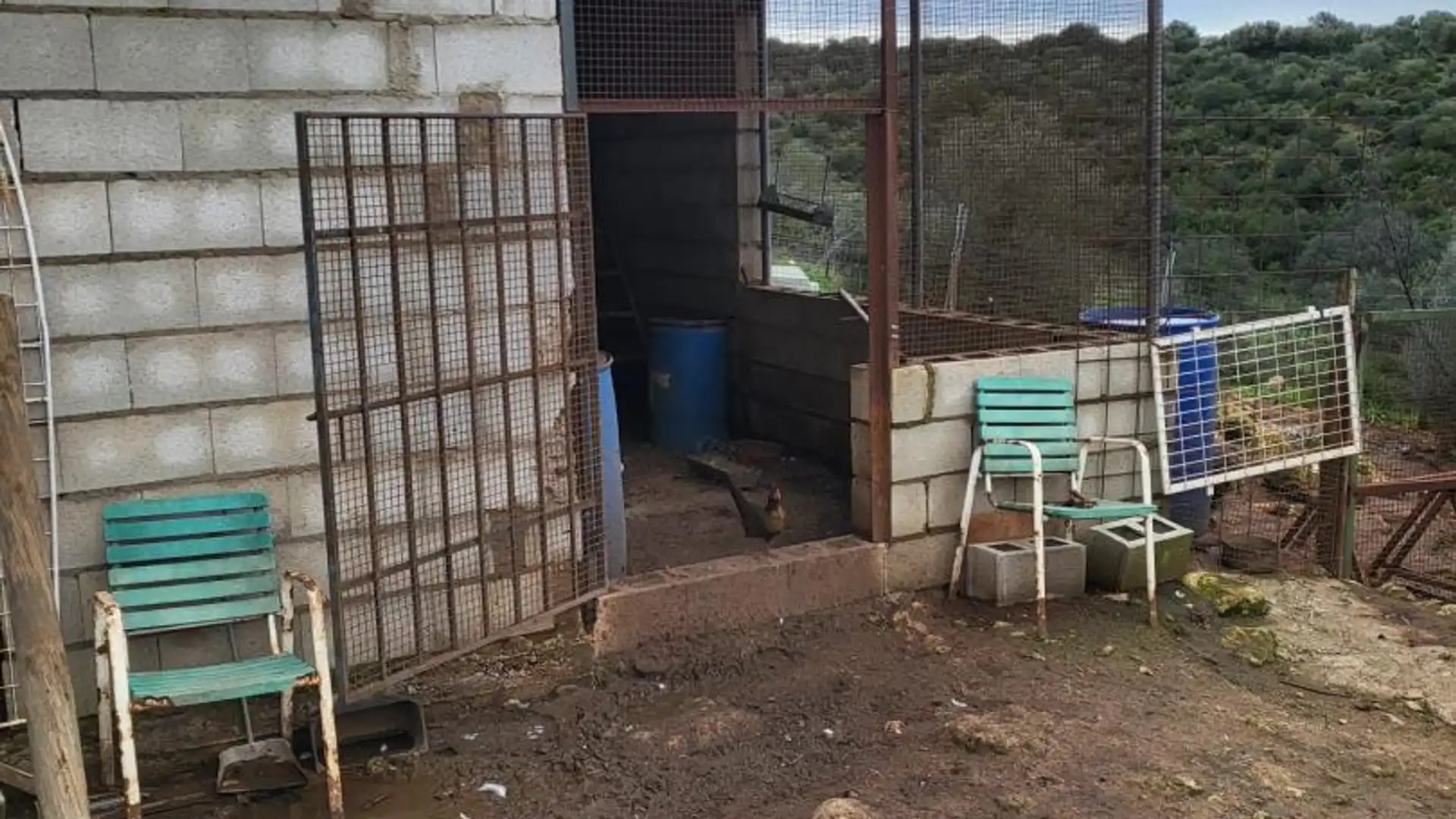 Finca rústica en  Calle Héctor Villa-Lobos 5 - Foto 3