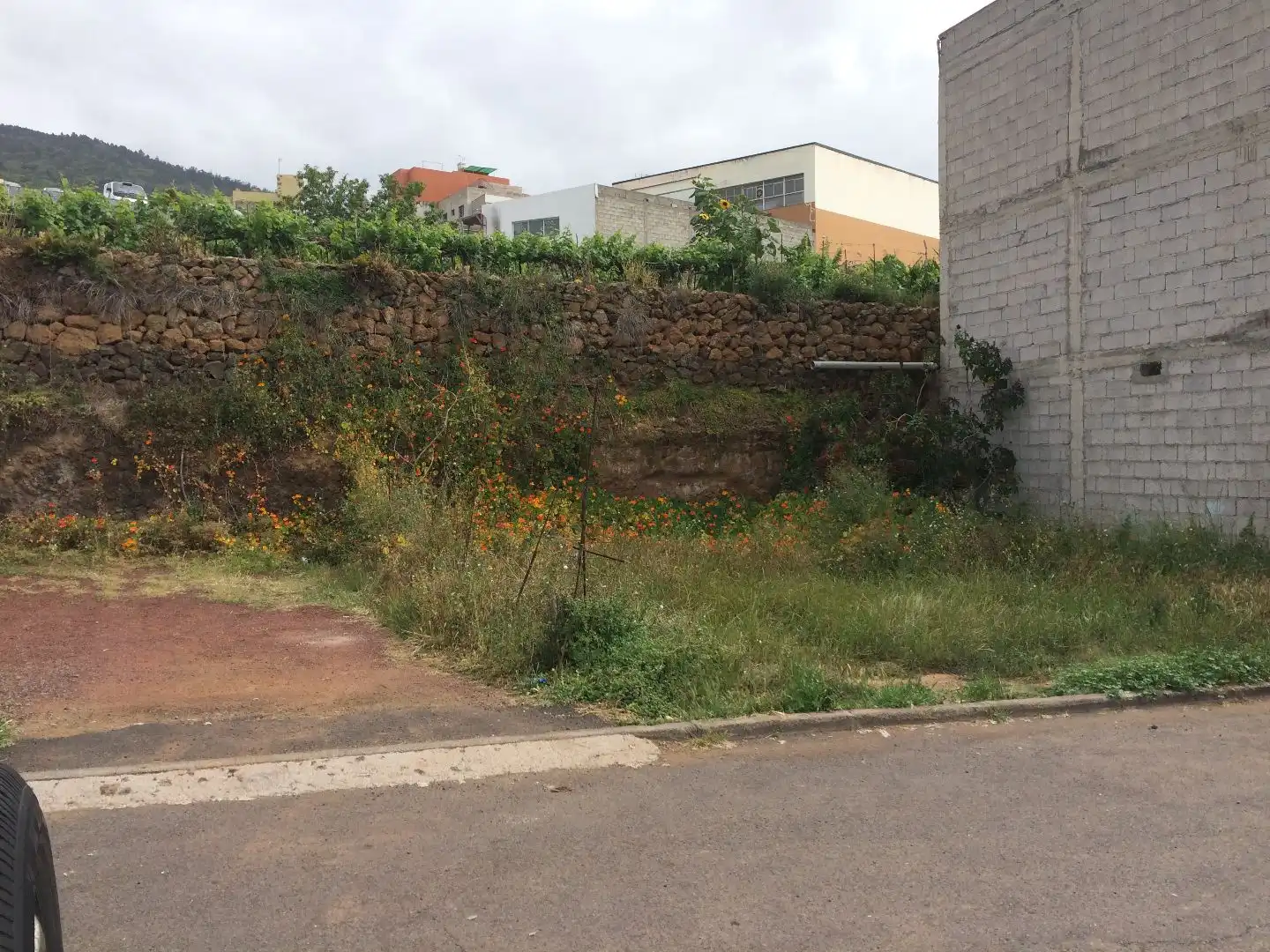 Terreno Residencial en  Calle Tosca la Iglesia 3 - Foto 2