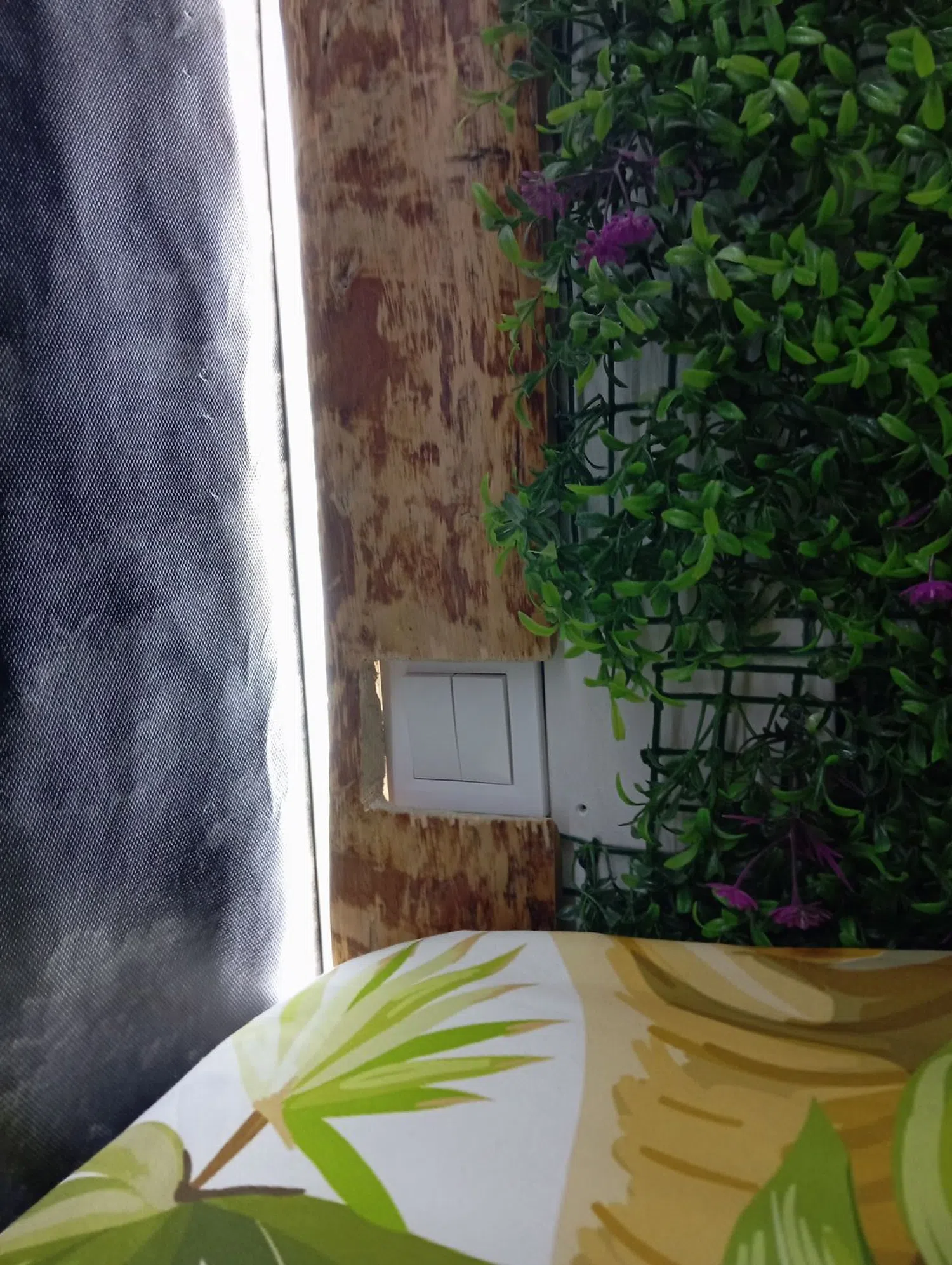 Estudio en calle de San Carlos, 13 - Foto 2