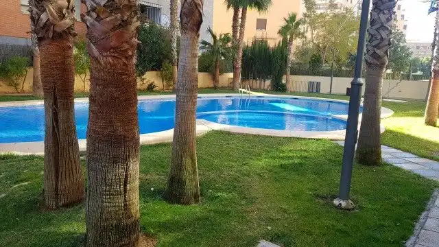 Piso en  Avinguda Escultor Miquel Navarro Navarro - Foto 28