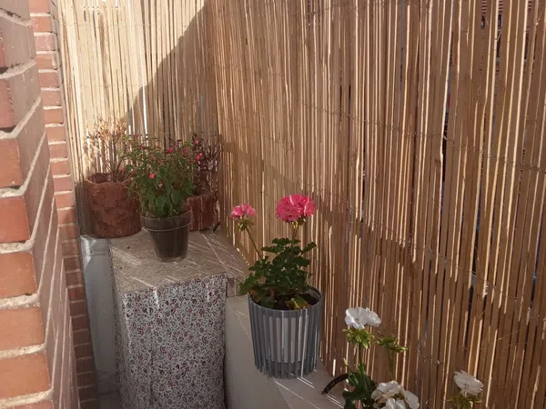 Piso en calle Sierra de Algodonales, 15