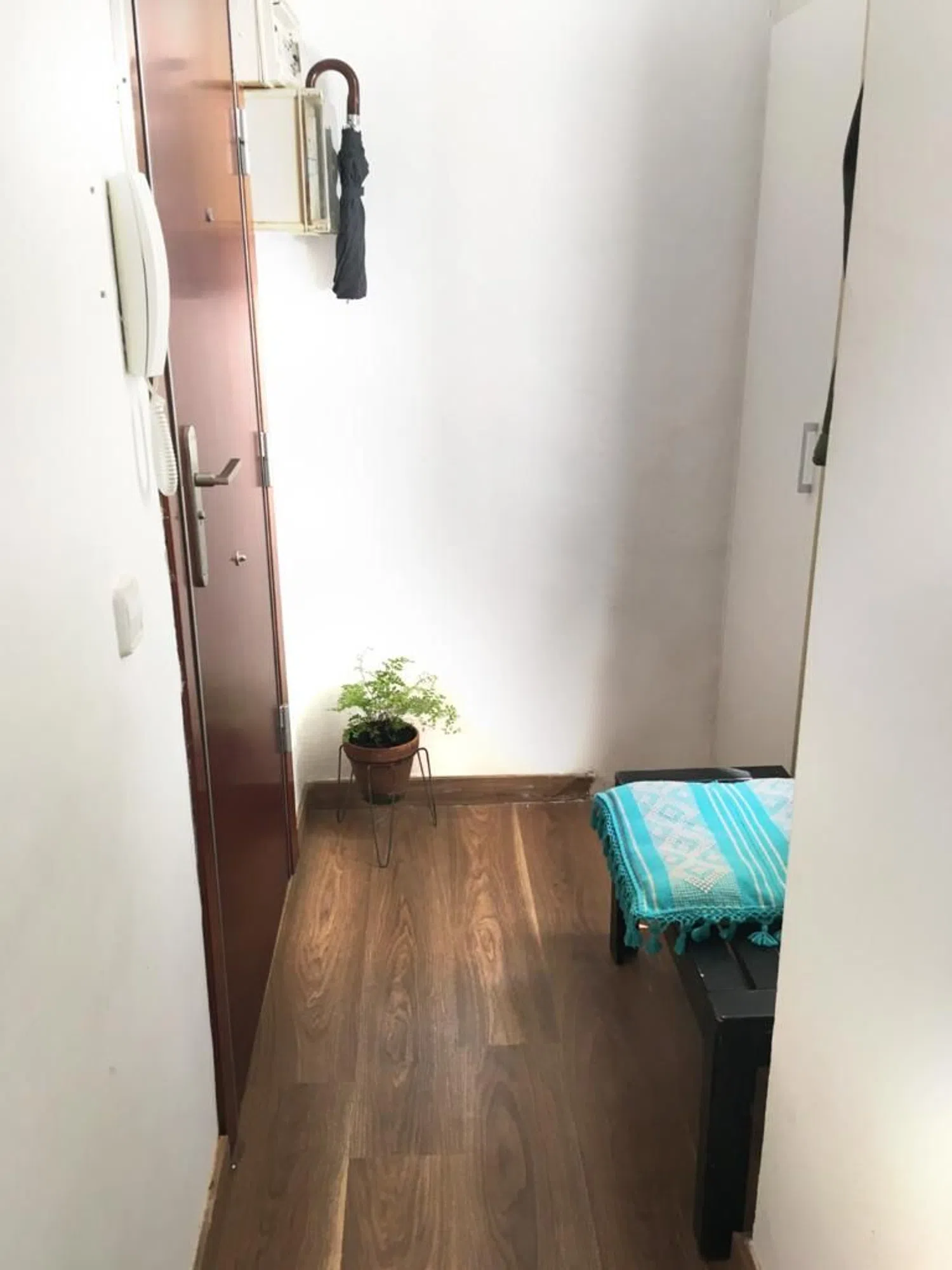 Estudio en calle de Vistalegre, 1 - Foto 15