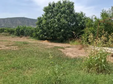 Finca rústica en  Camino Fabregat 10 - Foto 4