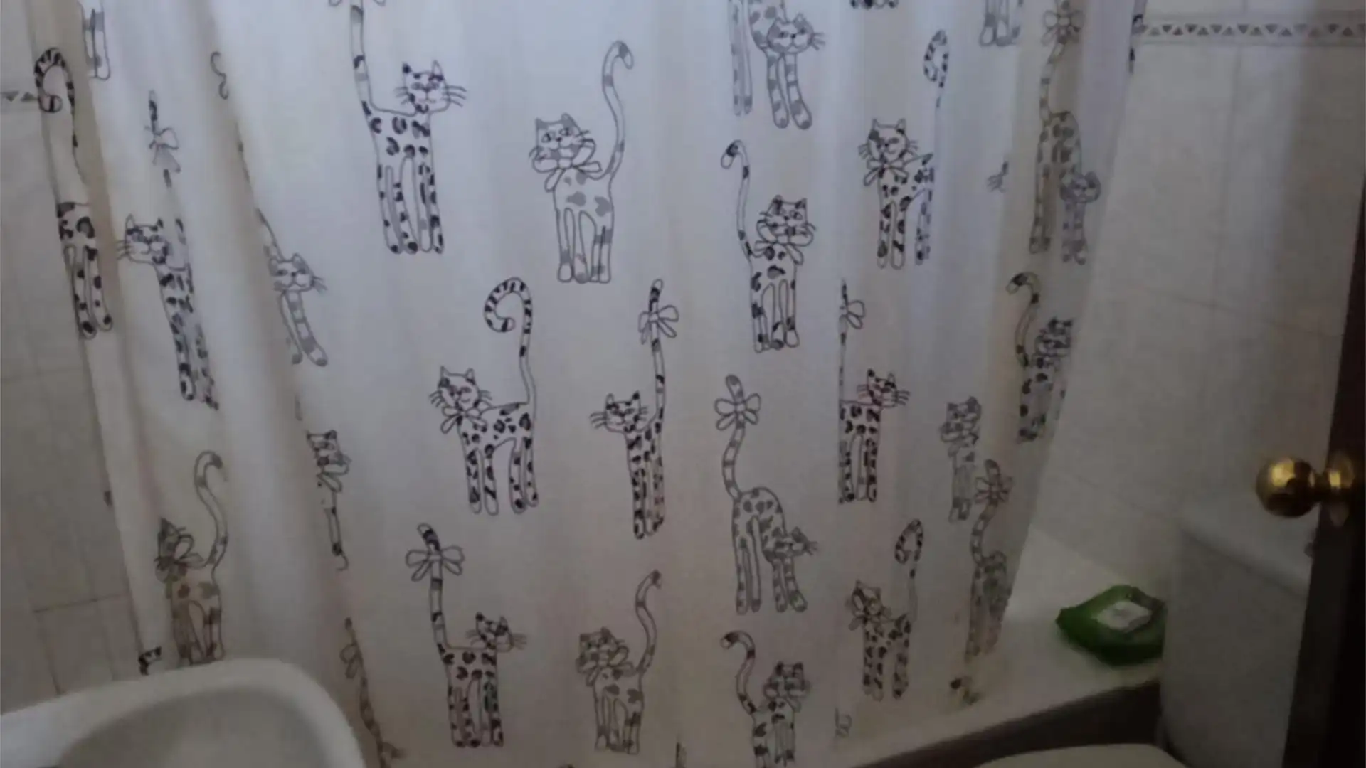 Piso en  Rúa da Fonte Santa 56 - Foto 15