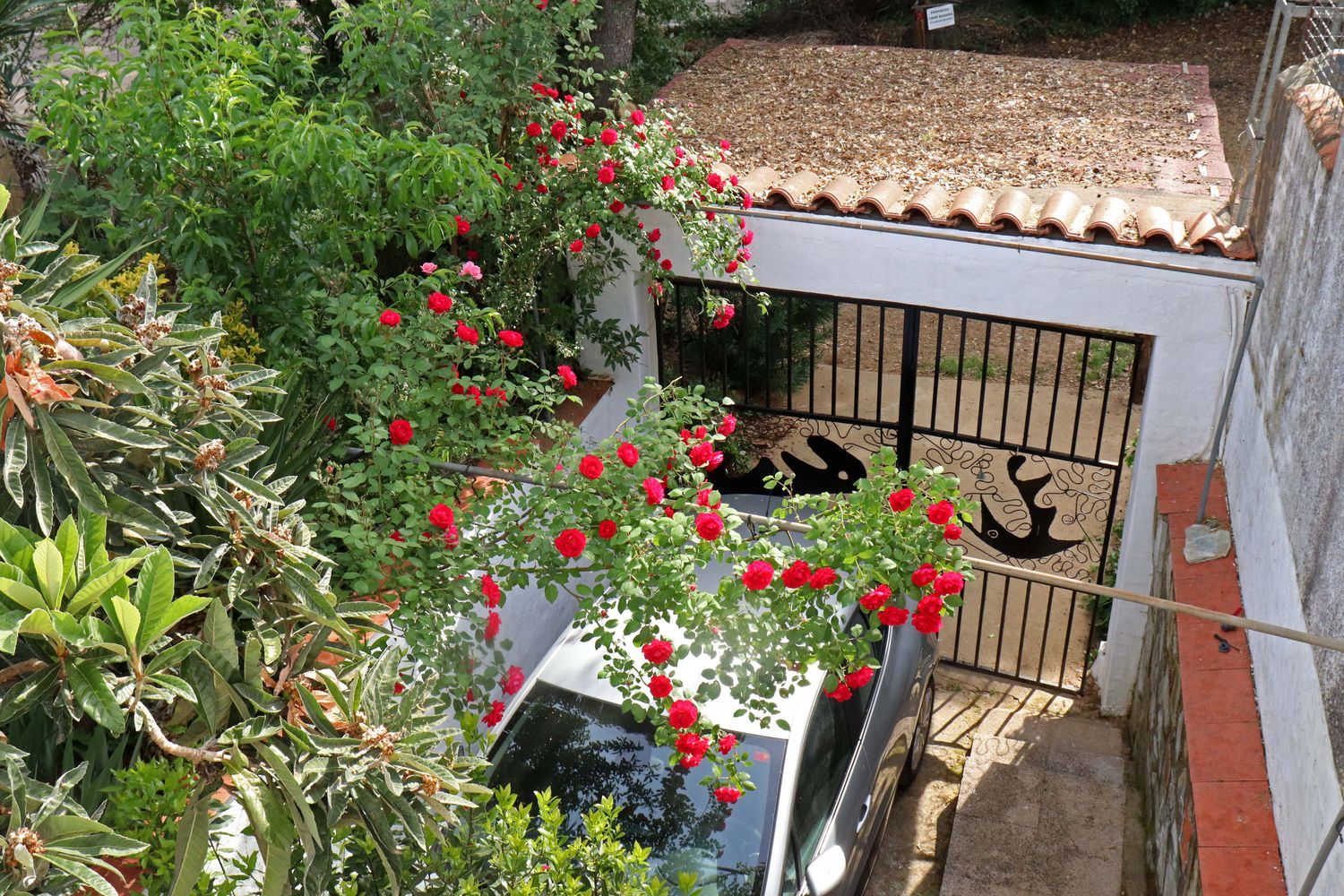 Chalet pareado en carretera Cc-431 s/n - Foto 3