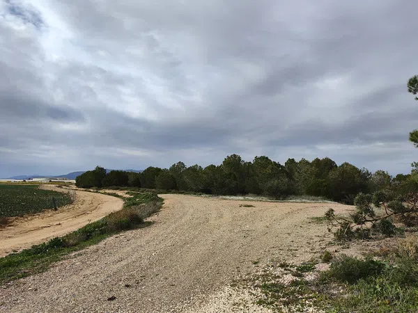 Finca rústica en casa morenos, 4 - Foto 34