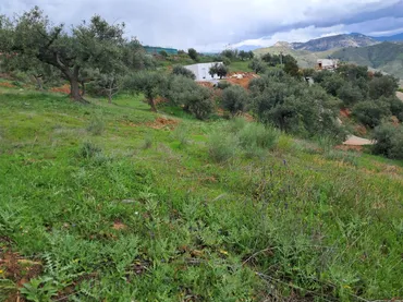 Finca rústica en  Diseminado el Cerval Pol 15 34B - Foto 2