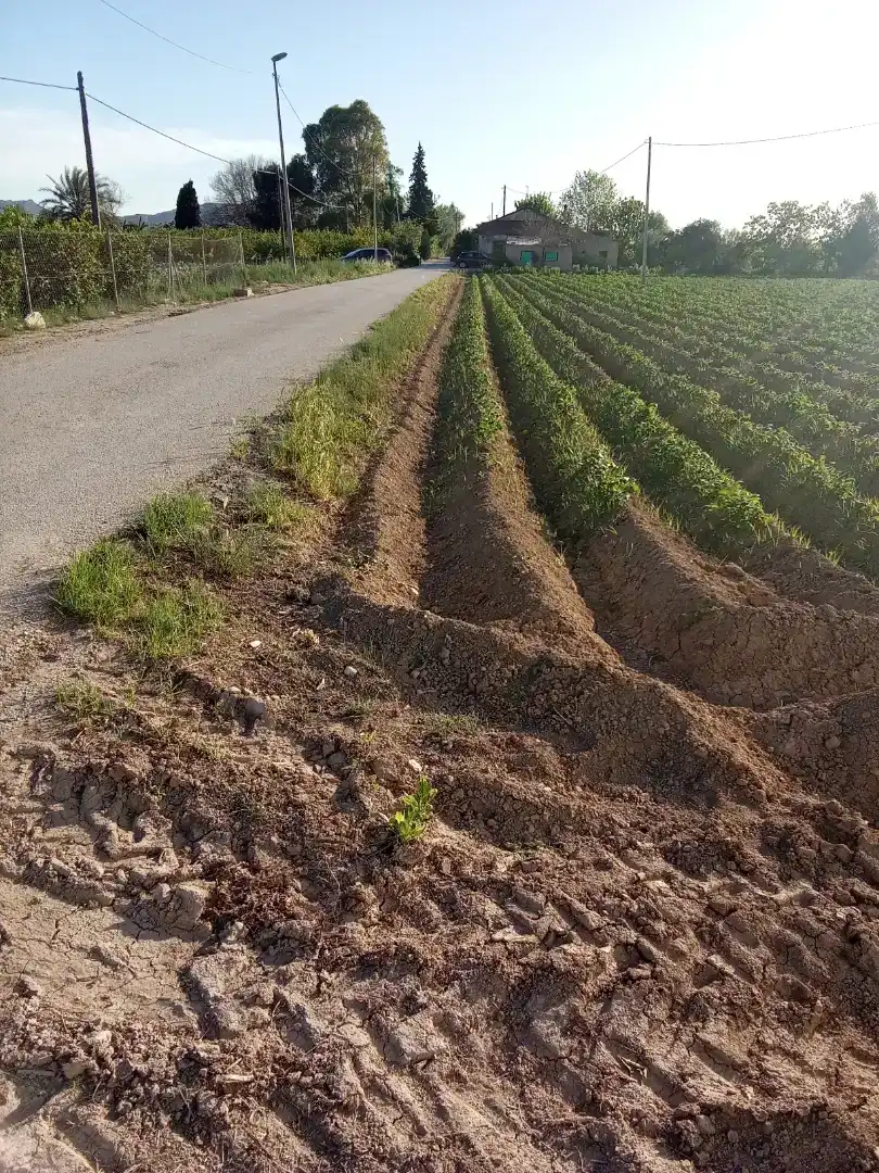 Finca rústica en  Carril de los Murcia 5 - Foto 18