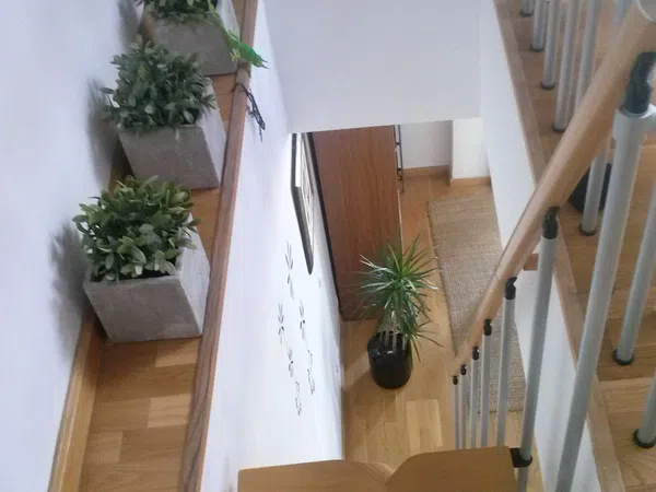 Dúplex en calle de Mosén Pedro Dosset, 12 - Foto 14