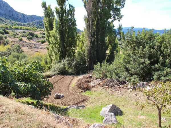 Casa rural en Avenida de Cadiz, 3 - Foto 34