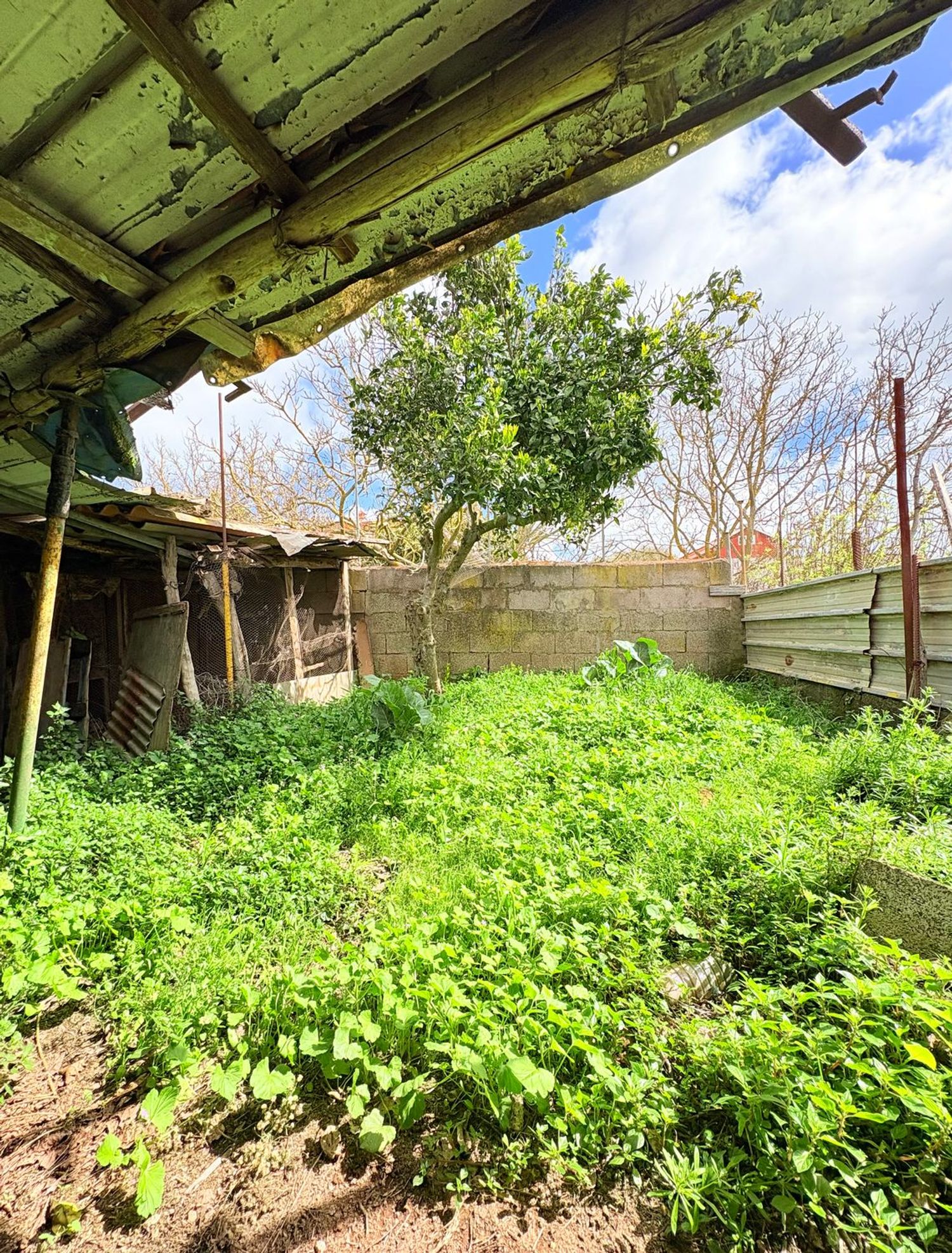 Casa independiente en calle Doctor Caldera, 25 - Foto 14