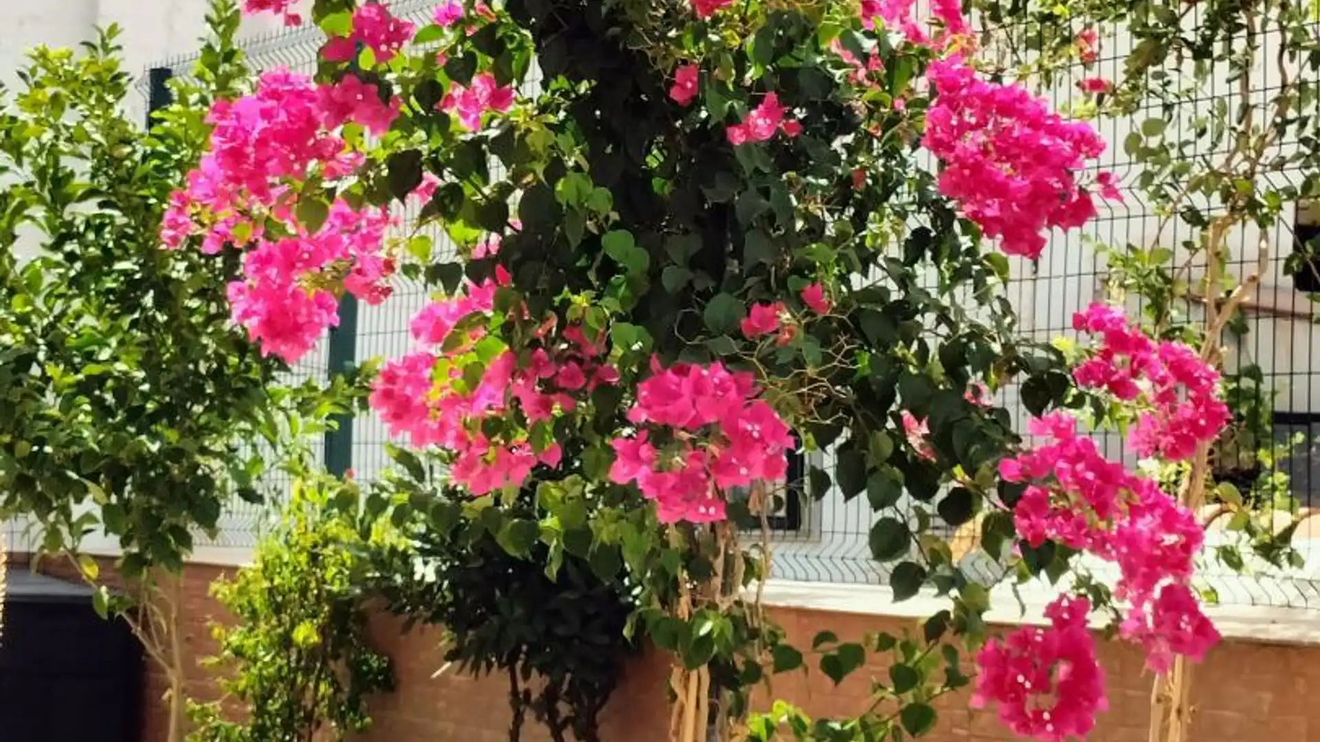 Chalet en  Calle Zenete 1 - Foto 1