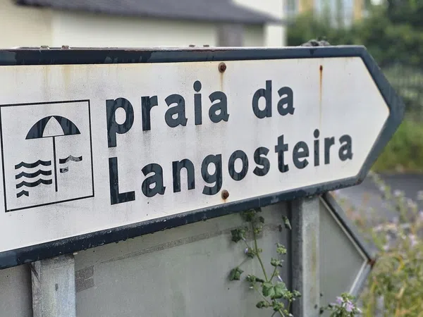 Ático en Avenida de Anchoa, 59 - Foto 5