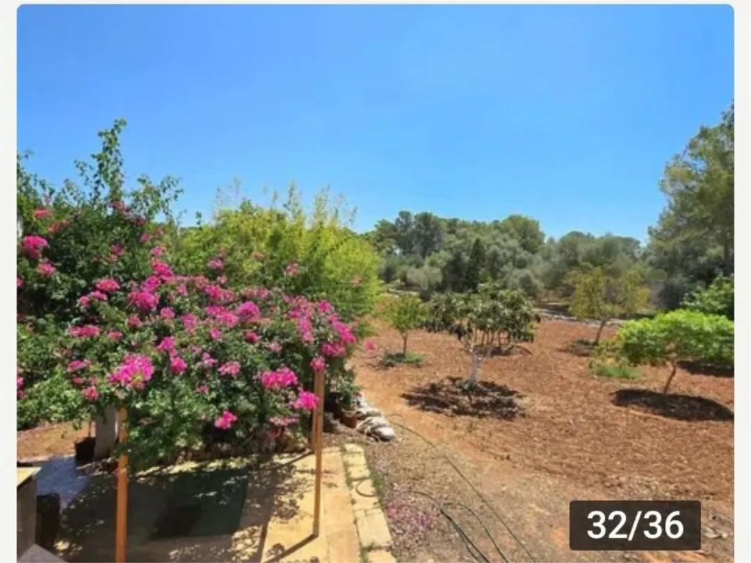 Finca rústica en  Diseminado 8746- Sa Casa Blanca 1 - Foto 28