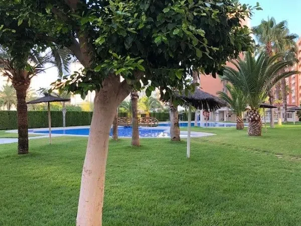 Piso en Avenida Oviedo, 6, Playa de San Juan - Foto 35