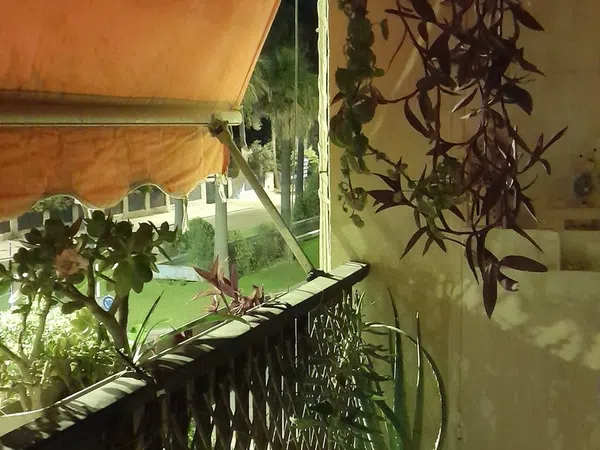 Piso en plaza del Caballo, 1 - Foto 20