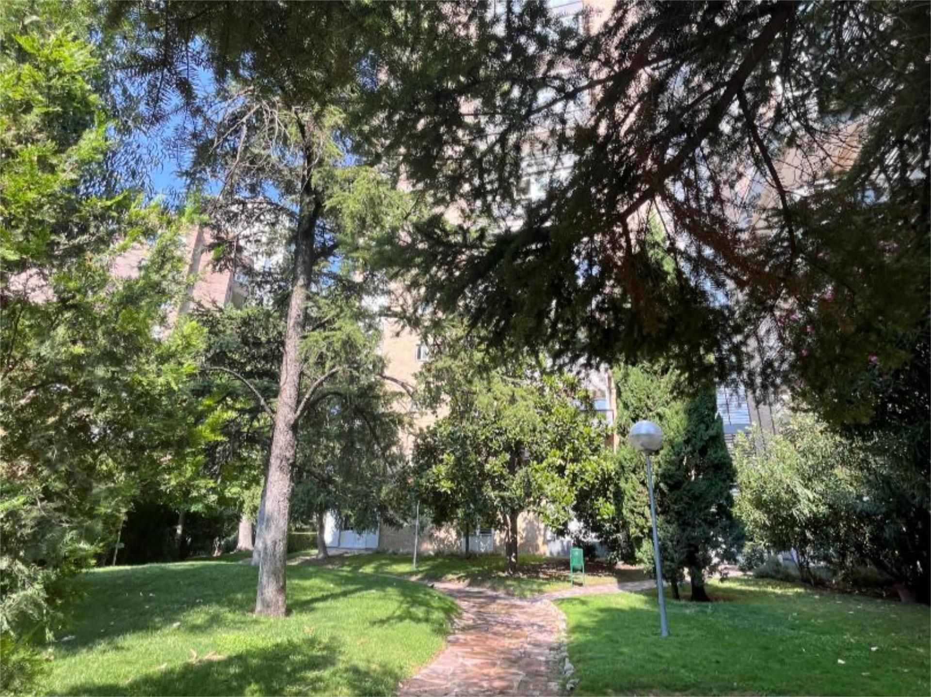 Piso en  Avenida de San Luis 93 - Foto 7