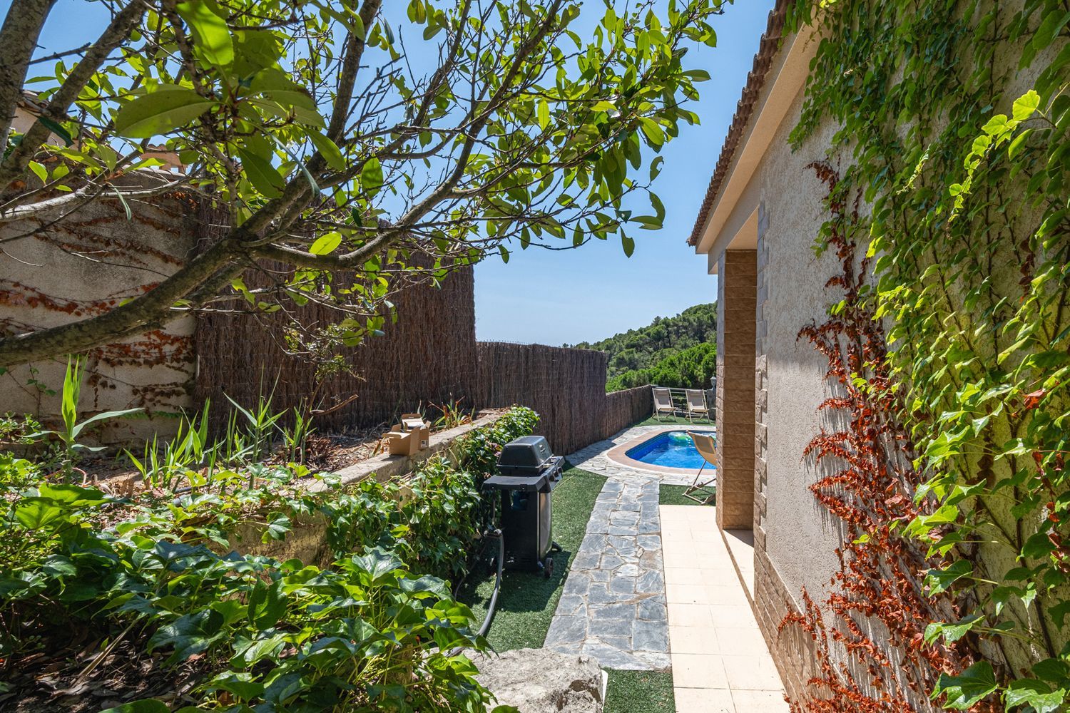 Casa o chalet independiente en Calle del Fonoll, 34, Serra Brava, Serra Brava - Foto 23