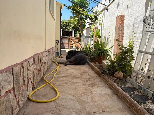 Casa o chalet independiente en Calle del Lliri, 20, Zona Boverals, Zona Boverals - Foto 33