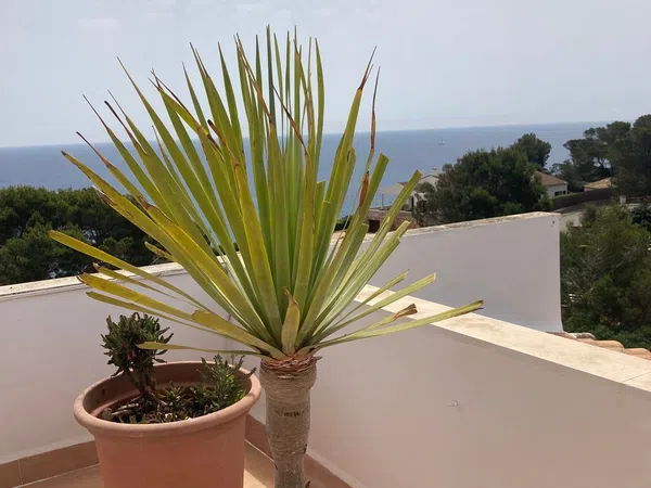 Ático en Calle de sa Cova des Vell Mari, 16, Cala Santanyí, Cala Santanyí - Foto 8